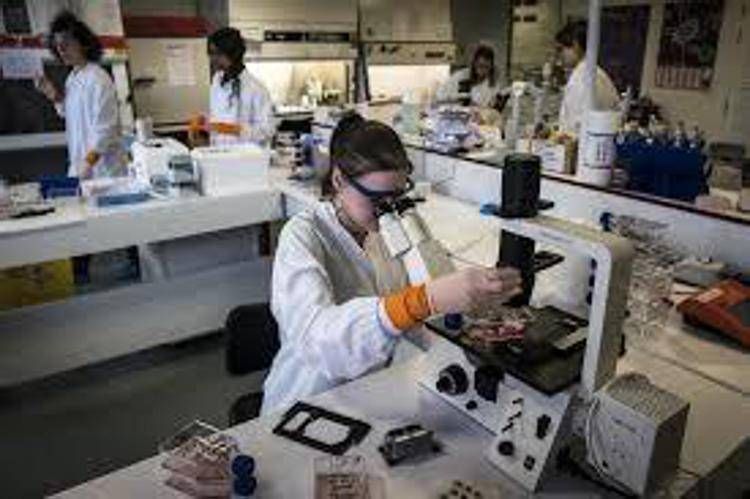 Tumori della testa e collo, studio 'con pembrolizumab -27% rischio recidiva o morte'