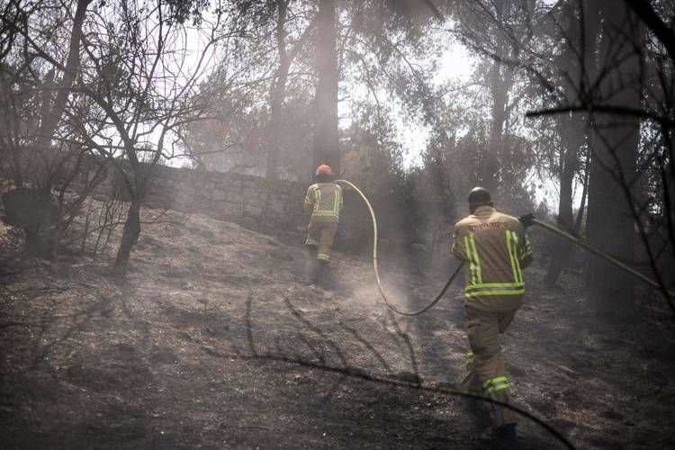 Israele ancora in fiamme, Netanyahu: "18 arresti per sospetto incendio doloso"