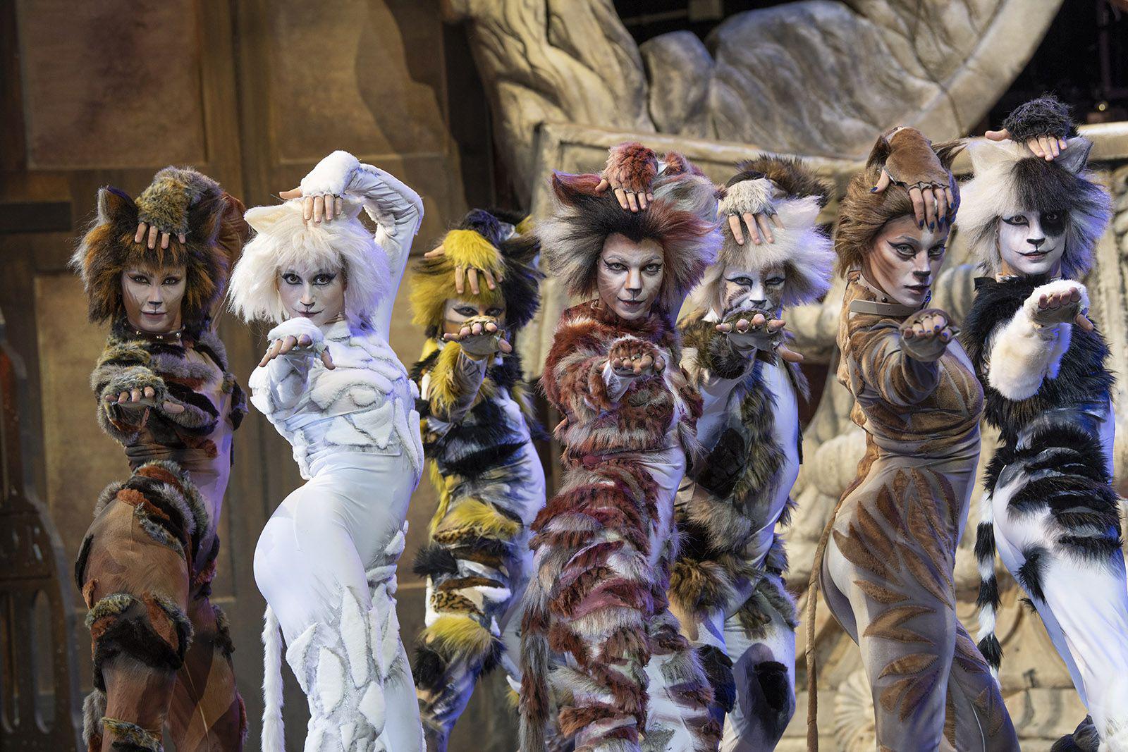 'Cats', Kayıtların Müziği Massimo Piparo'nun Roma'daki Sistina Tiyatrosu'na geri döndüğünü imzaladı