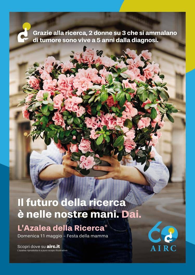 L'Azalea della ricerca Airc torna a sbocciare per la salute delle donne