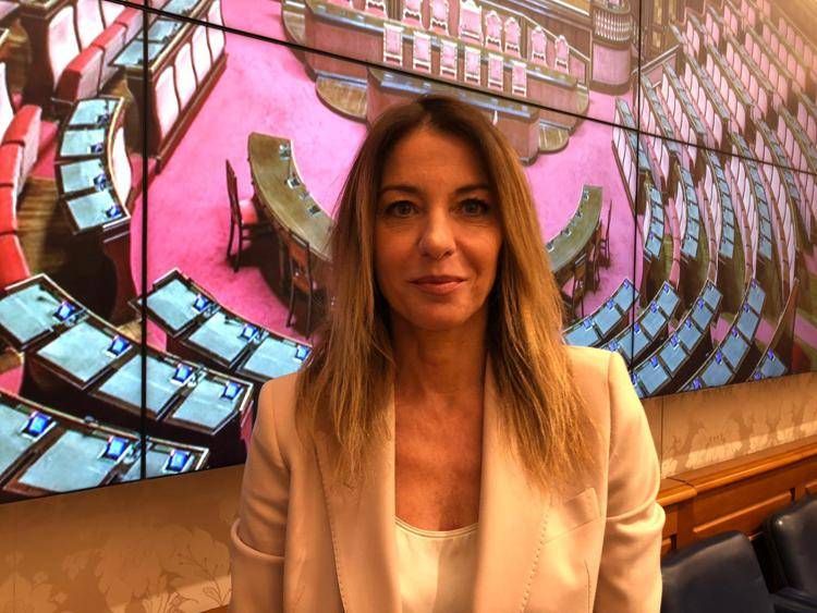 Mare, Petrucci (Fdi): 