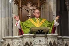 Timothy Michael Dolan - Ipa