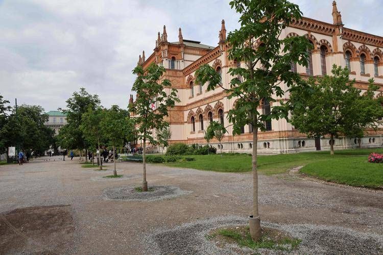 A Milano oltre 730 alberi messi a dimora nei parchi colpiti dal nubifragio del 2023