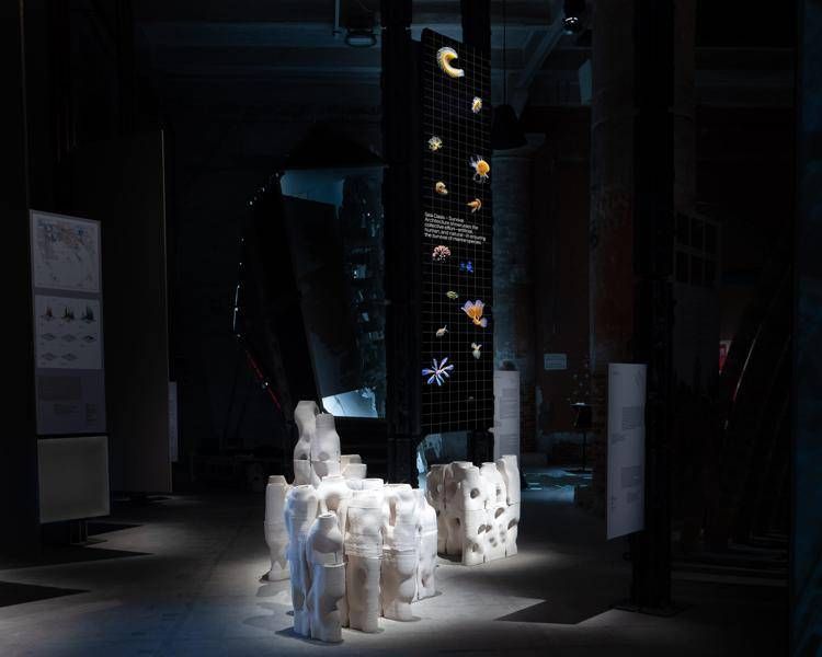 Alla Biennale Architettura 'Sea Oasis', il mare diventa creatività