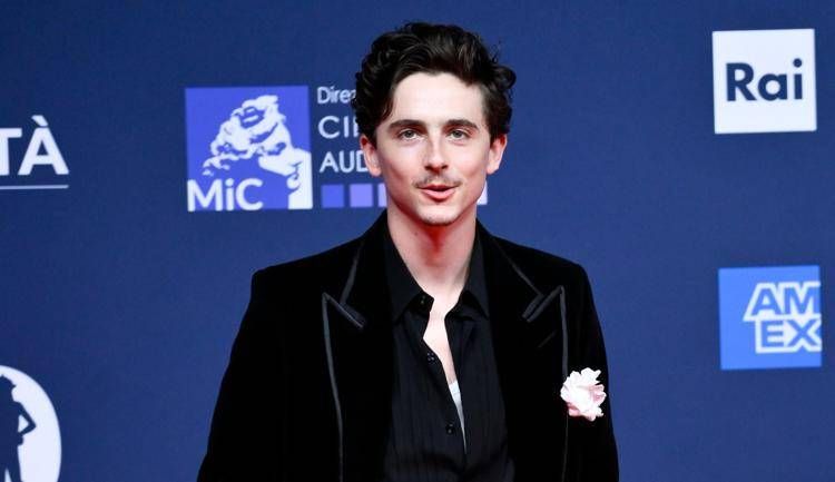 Timothée Chalamet - Ipa