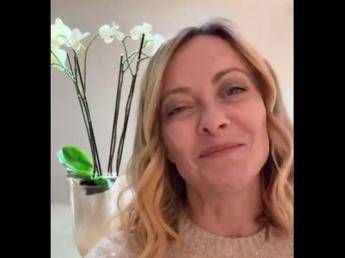 Festa della mamma, il messaggio di Meloni: 