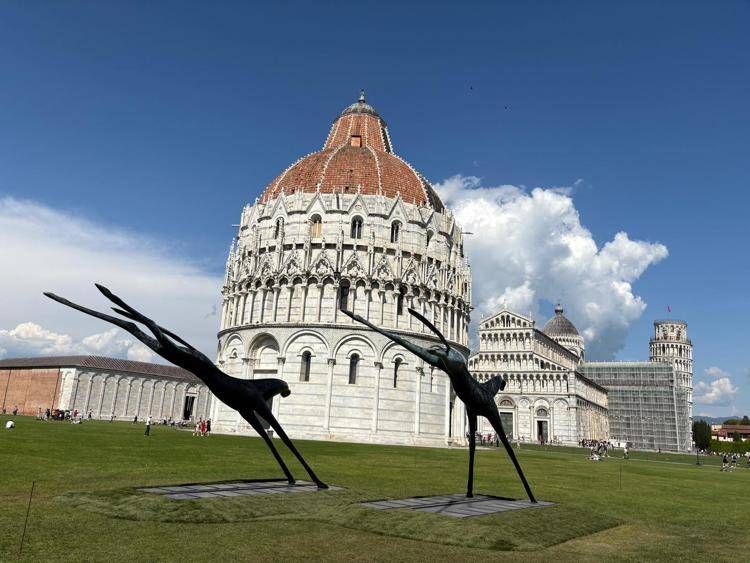 Due cavalli volanti 'atterrano' in Piazza dei Miracoli