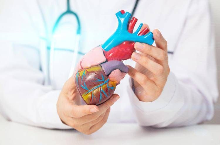 Insufficienza cardiaca, studio Anmco ha valutato risposta pazienti a 4 pilastri terapeutici