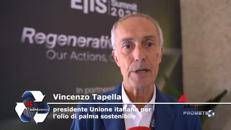 Tapella (Uiops), 
