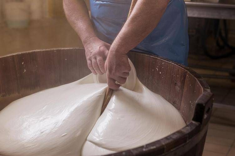 Festival dell'Economia di Trento, mozzarella bufala campana Dop in cattedra tra talk e laboratori con Trentingrana