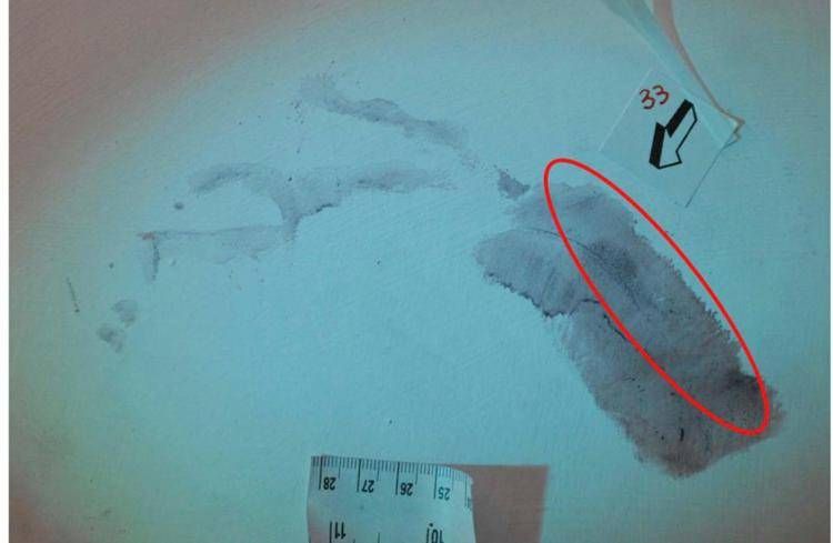 Caso Garlasco, procura mette la parola fine su impronta 33: non c'è sangue