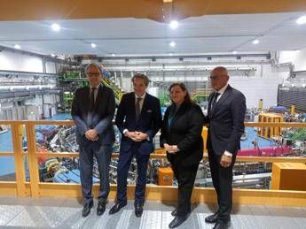 Tumori, Grossi (Iaea): 