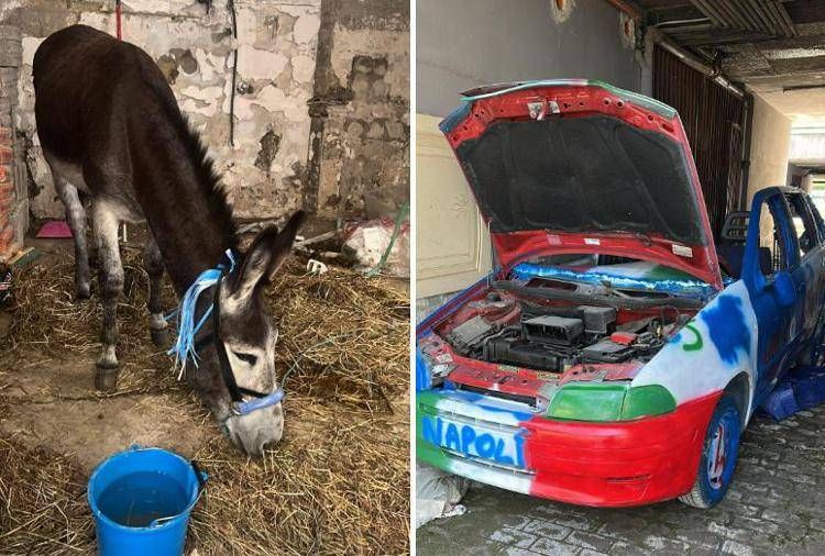 Napoli-Cagliari, l''asino azzurro' e l'auto tricolore: i sequestri verso lo scudetto