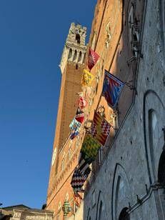 Palio di Siena, estratte Lupa, Oca, Bruco, Valdimontone e Pantera
