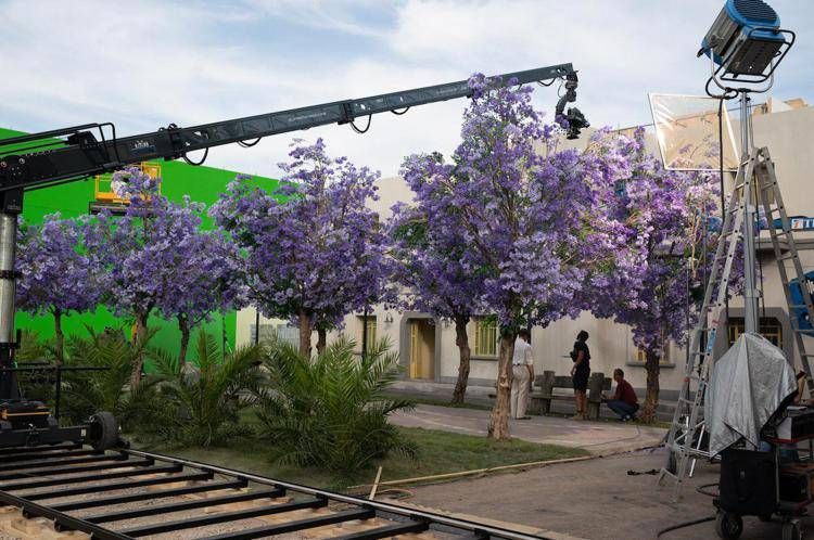 “La giungla seminaturale firmata Ila conquista Cinecittà”