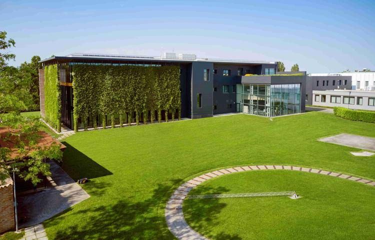 Il giardinaggio nell'era digitale: una passione europea resa accessibile dalla tecnologia