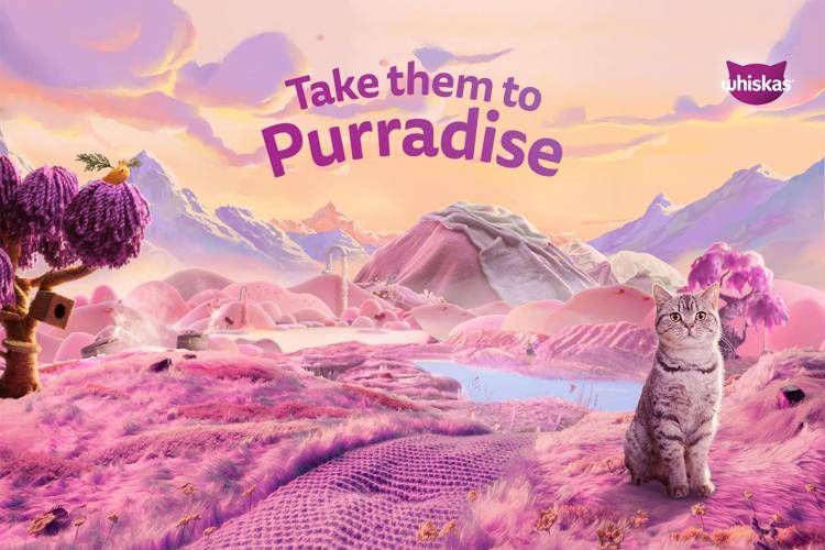 Animali, Whiskas: un test per scoprire la personalità del proprio gatto