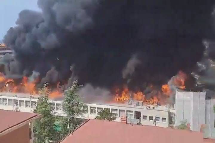 Incendio all'università di Viterbo, fiamme divorano la facoltà di Agraria - Video