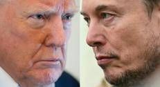 Donald Trump e Elon Musk - Afp