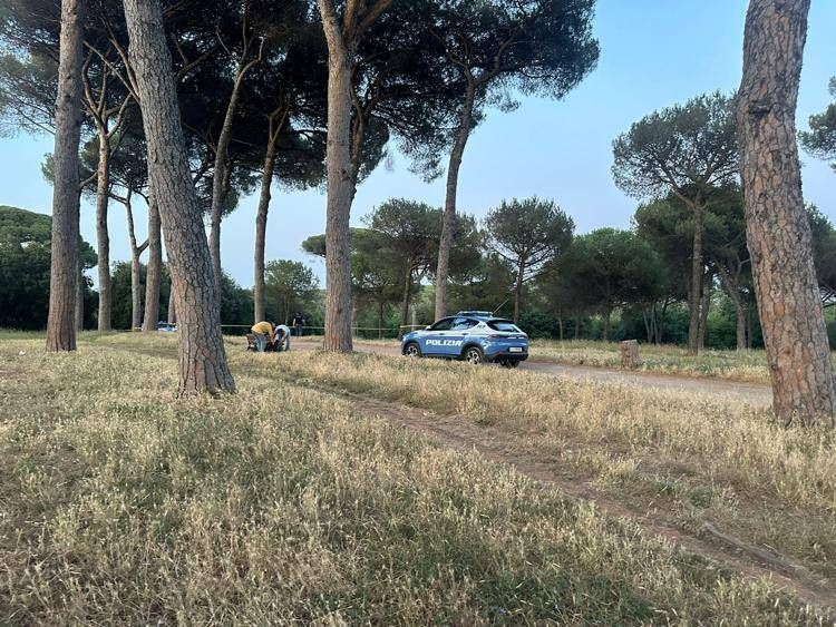 Il luogo del ritrovamento della bimba nel parco - Adnkronos