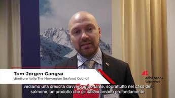 Gangsø ( Norwegian Seafood Council): 