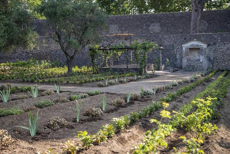 (ufficio stampa del Parco Archeologico di Pompei)