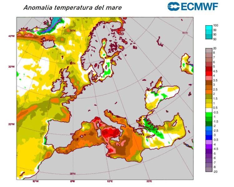 Mare rovente, il Mediterraneo si scalda per la 'Marine Heatwave': cos'è il fenomeno