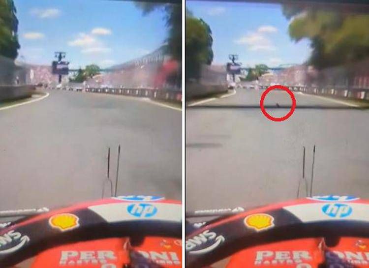 Gp Montreal, Hamilton investe una marmotta. Poi i problemi ai freni - Il video