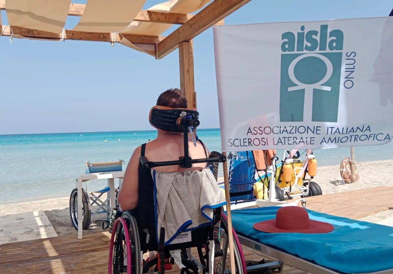 World SLA Günü, Etkinlikler ve Yeni Bilimsel Editör Personeli Arasında Aisla