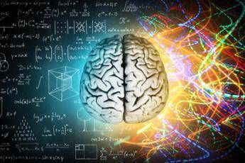 Cervello Umano Canva Immagine in aggiornamento