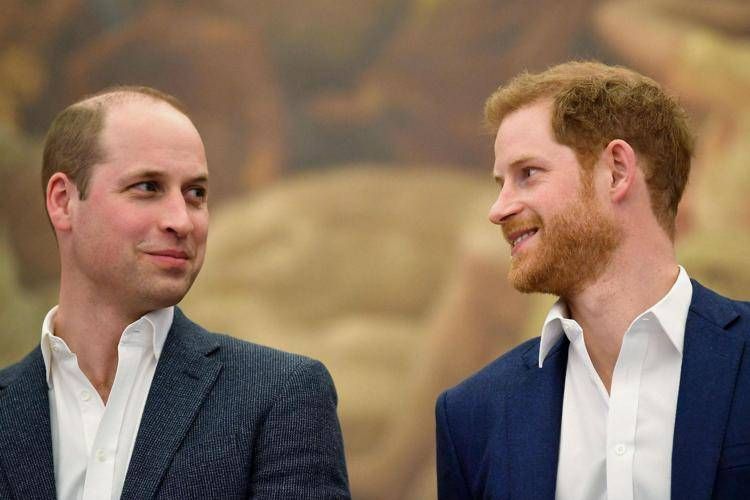 William e Harry (Afp)