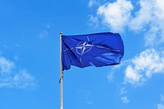 Bandiera Nato