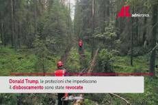 Usa, Trump toglie protezioni a un terzo dei boschi