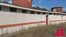 Bagni chiusi e sporcizia, le immagini del degrado ai 'Cancelli' di Ostia e Torvaianica - Video