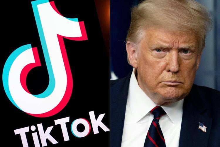 Il logo di TikTok e Donald Trump - (Afp)