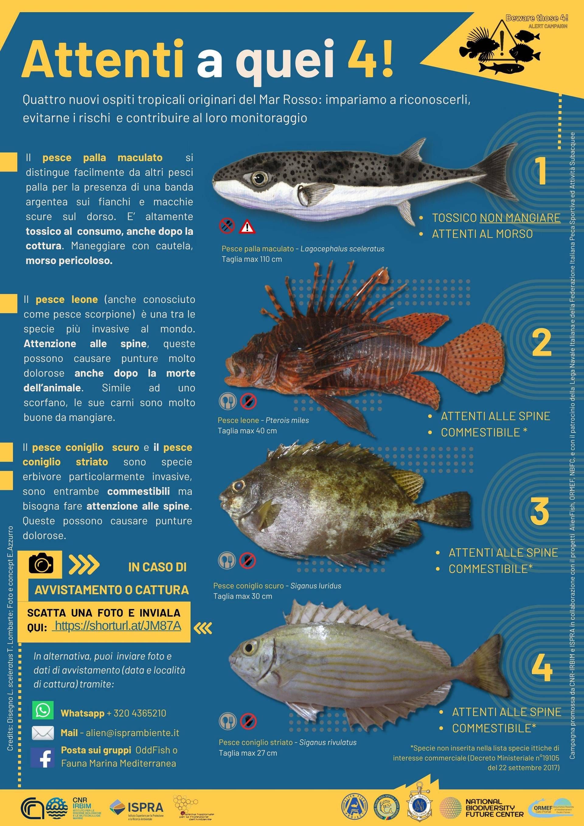 The campaign to monitor invasive alien species in the Italian seas