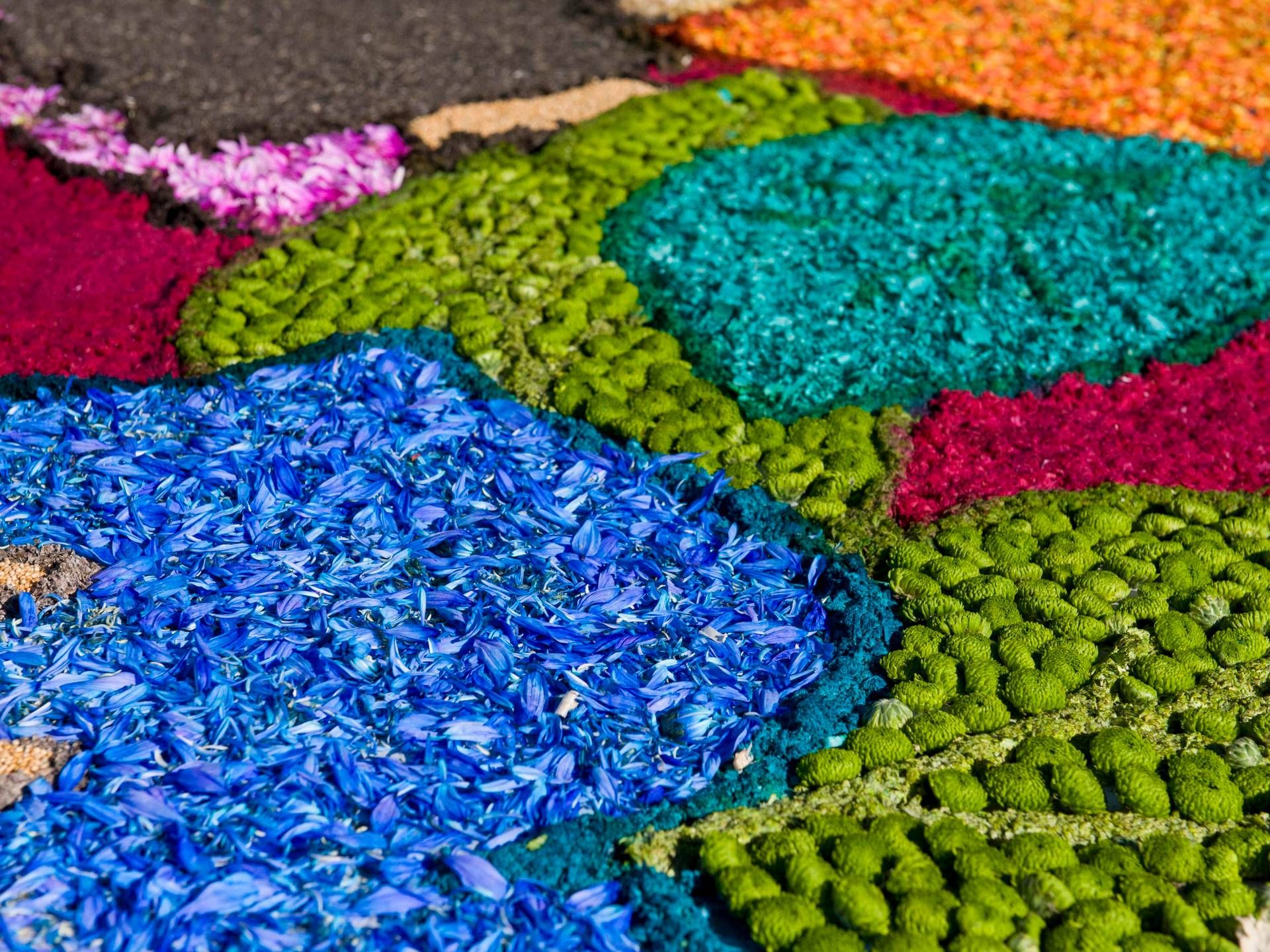 pro loco infiorata giubileo comm