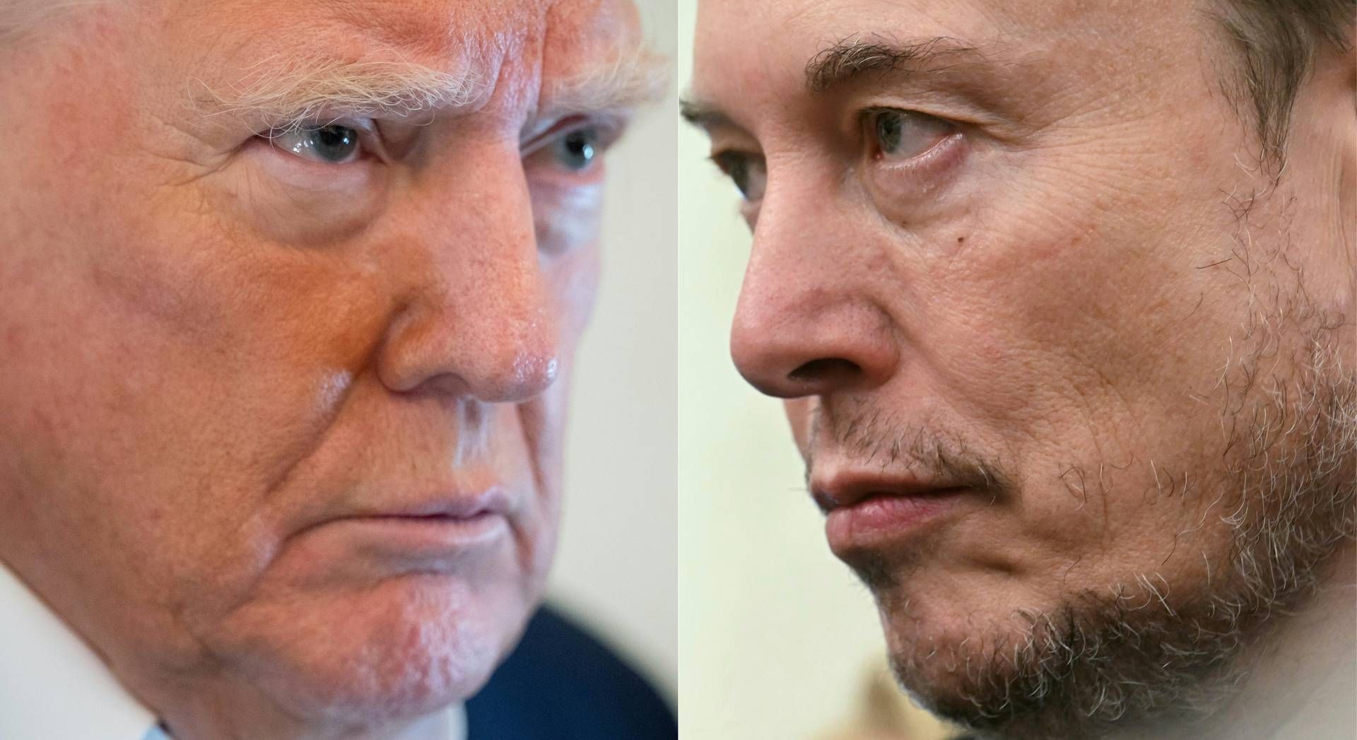 Trump, nuovo attacco a Musk: "Rivedere sussidi alle sue aziende, senza tornerebbe in Sudafrica'