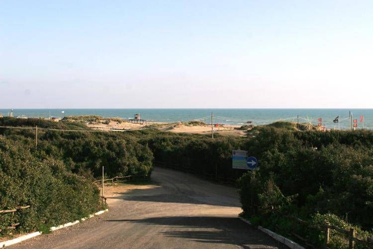 Ostia, medici Sima: "Preoccupazione per spiagge 'Cancelli' senza bagni con caldo estremo"