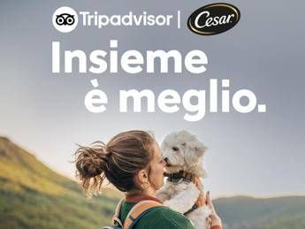 Vacanze, quasi la metà italiani rinuncia a viaggiare con il proprio ca