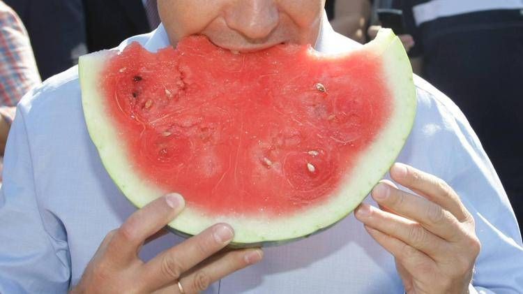 Nutrizionista: 