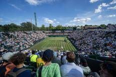 Un campo di Wimbledon