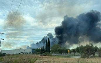 Incendio a Fiumicino, colonna di fumo nero alta chilometri visibile in tutta Roma S