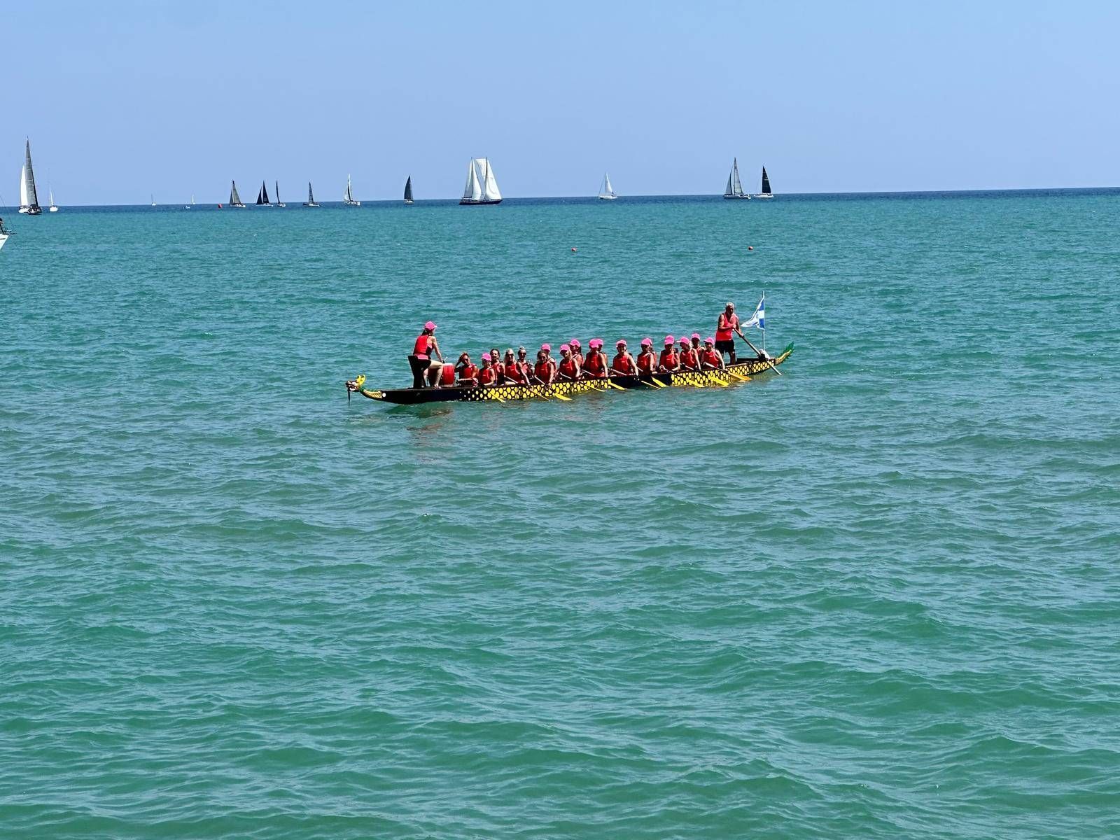 regata per vita comm 3