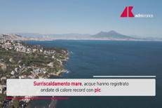 Mediterraneo mai così caldo: il report di Greenpeace