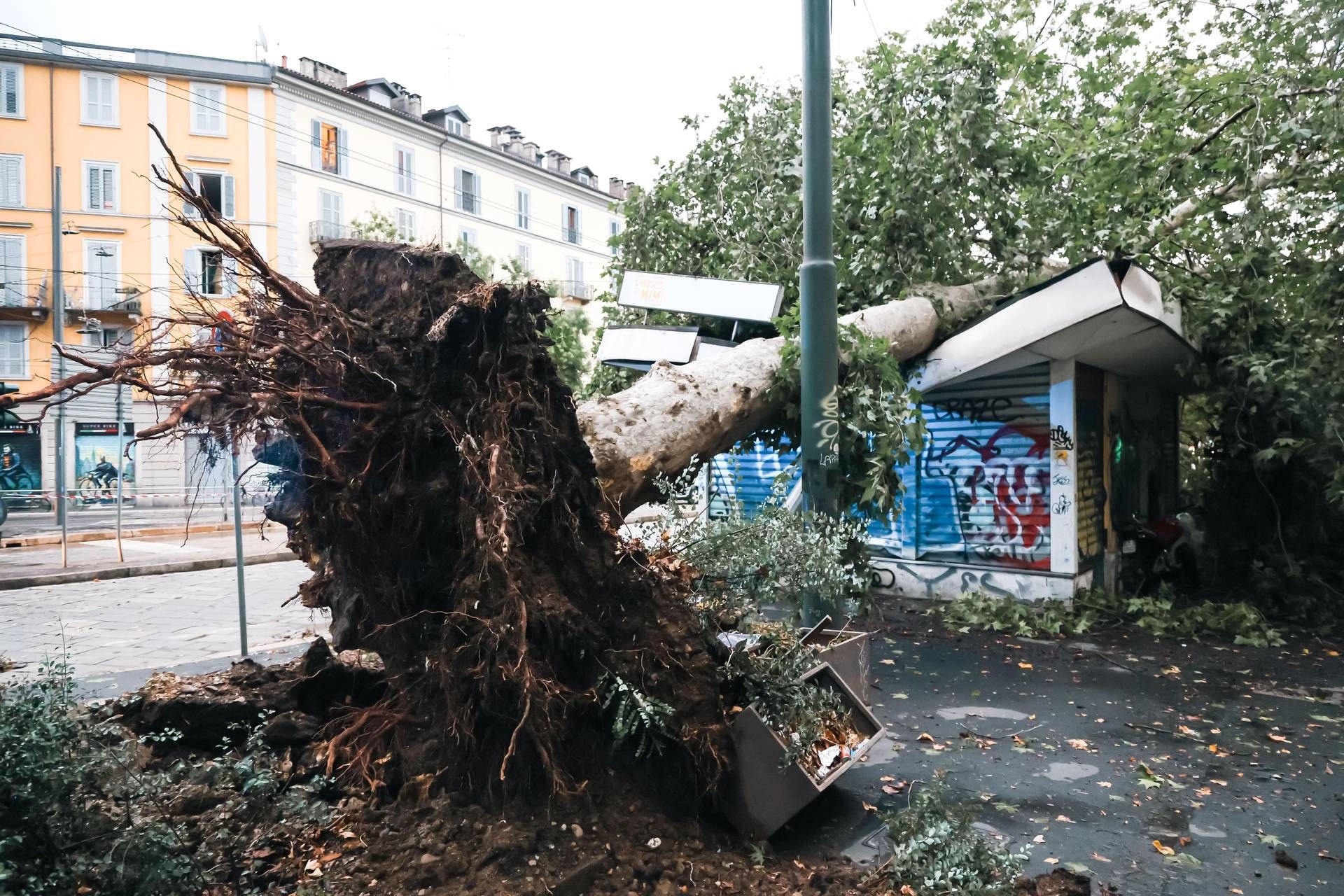 Maltempo, alberi caduti e allagamenti in Lombardia e Liguria