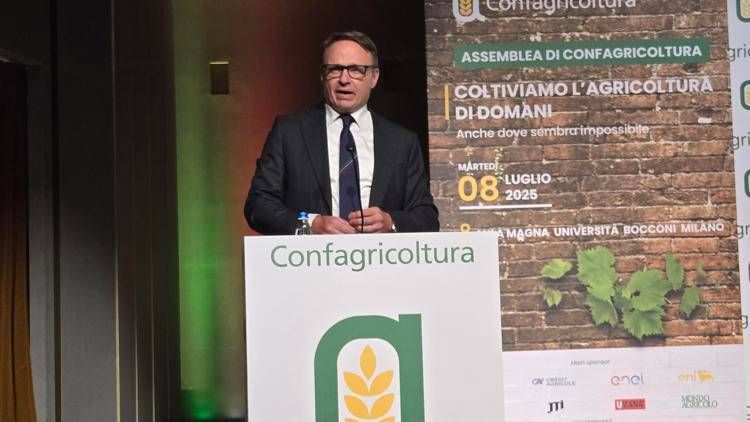 Francesco Lollobrigida