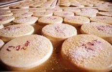 Pecorino Romano - Fotogramma