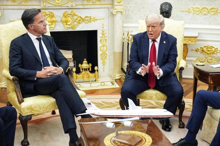 trump rutte ipa