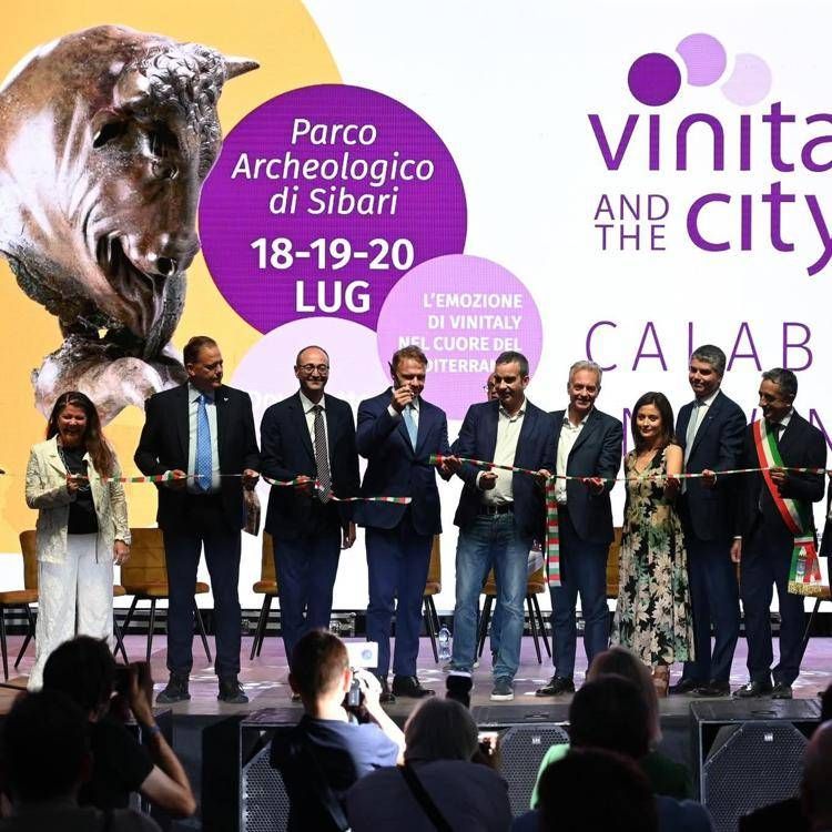 Vino, Gallo: 